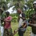Gunmen Kills Five Traditional Leaders In Imo State