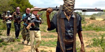 Cameroon Separatists Kills Innocent Nigerians.