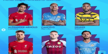 Nigeria’s Emmanuel Dennis nominated for EPL player of the Month award.