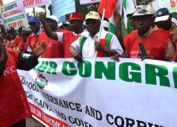 NLC Call For Reversal Of Power Sector Privatisation