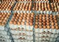 Importing Eggs, Fish and Milk