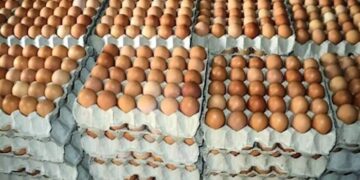 Importing Eggs, Fish and Milk
