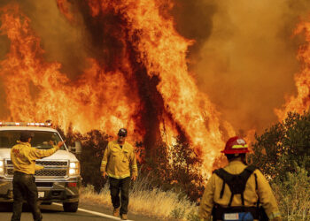 wildfire in California
