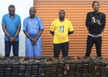 NDLEA Seized Drugs