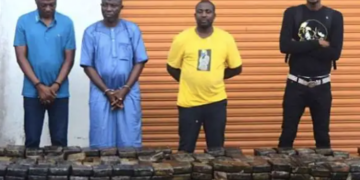 NDLEA Seized Drugs